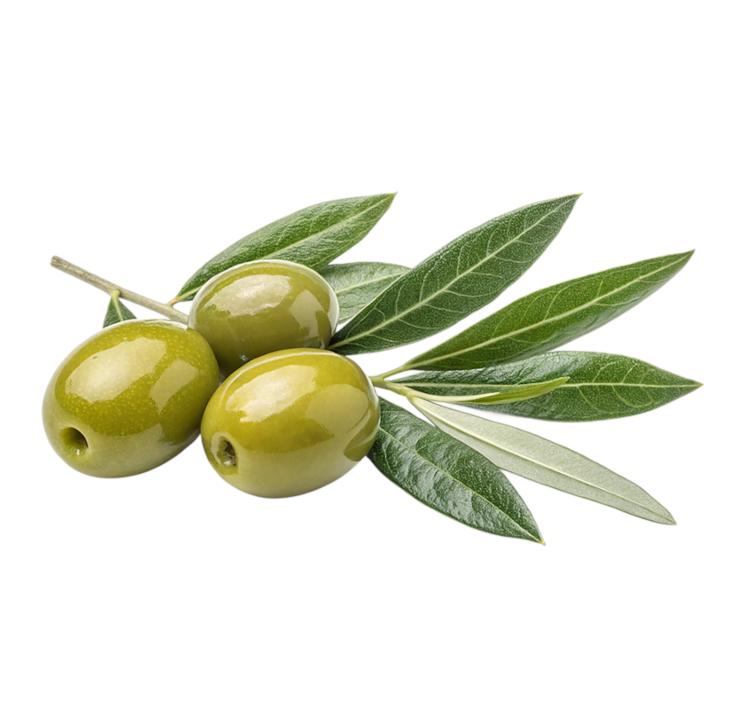 oliwa z oliwek extra virgin urzante 250ml oliwa z oliwek extra virgin urzante 250ml